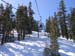 Tahoe3d