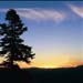 Tahoe99d
